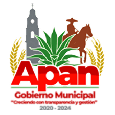 apan logo ds