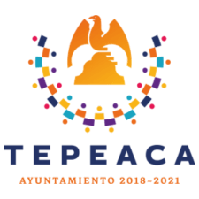 tepeaca logo dsd