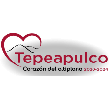 tepeapulco logo dsd
